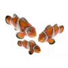 Saturno Silver & Enamel Clown Fish Ornament