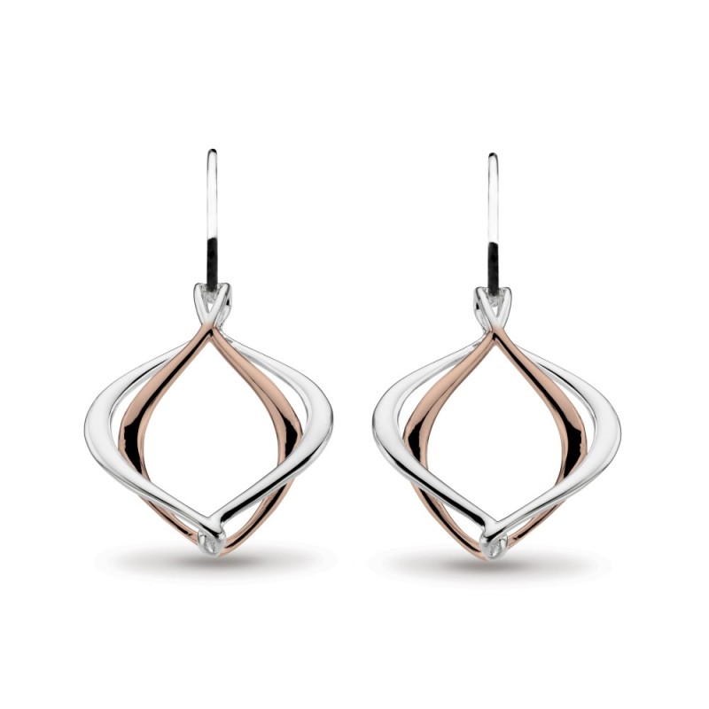 SAVE 28% off RRP - Alicia Rose Grande Drop Earrings 