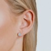 Save over 30% off RRP - Diamonfire Heart Earrings E5589 