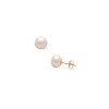 9ct Yellow Gold Freshwater Cultured Pearl Earrings - 7.0 - 7.5mm