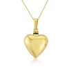 9ct Yellow Gold Heart Bottle Locket & Chain