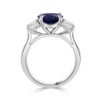 Platinum 3st Sapphire & Diamond Ring - S 3.72 D 1.22 G/VS2