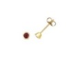 9ct Yellow Gold Ruby Stud Earrings - 0.32ct