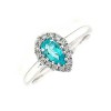 18ct White Gold Paraiba & Diamond Cluster Ring - P 0.39 D 0.13