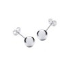 9ct White Gold 6mm Ball Studs