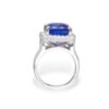 18ct White Gold Tanzanite & Diamond Ring - T 11.09ct D 1.08ct